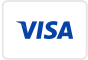 Visa Payments